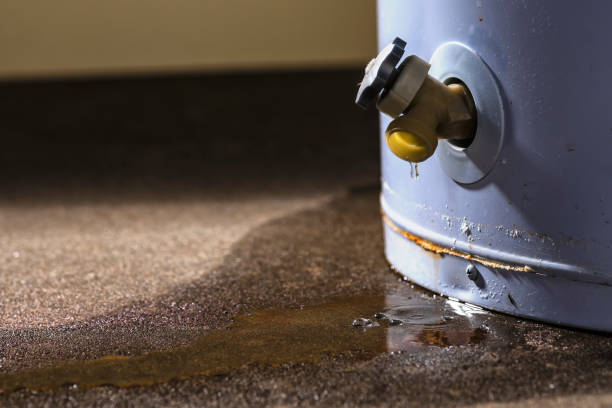 Best Carpet water damage restoration  in Chisholm, MN