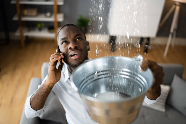 Best Water damage restoration near me  in Chisholm, MN