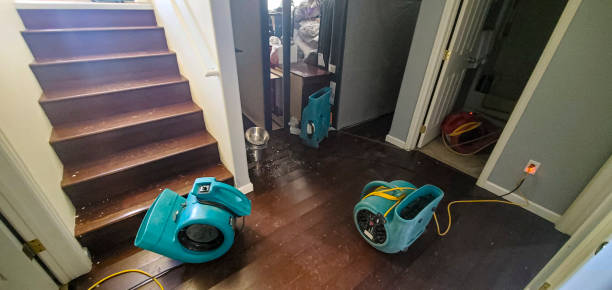 Best Fire Damage Restoration  in Chisholm, MN