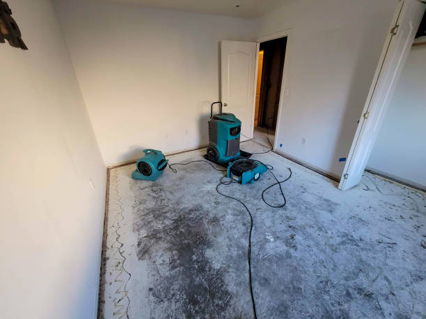  Chisholm, MN Water damage restoration Pros