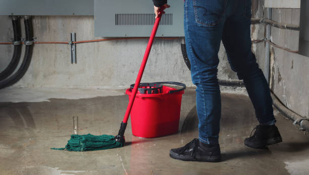Best Water damage restoration near me  in Chisholm, MN