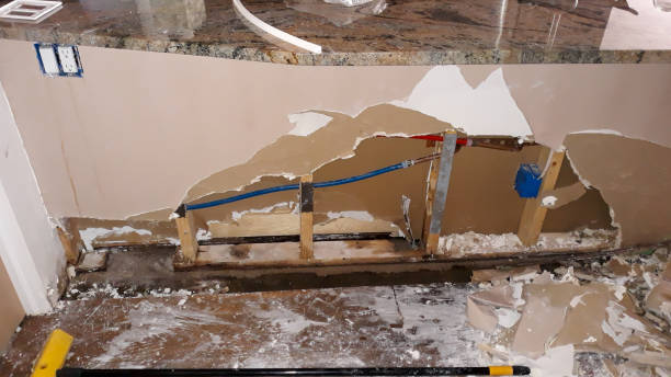 Best Water damage restoration mold remediation  in Chisholm, MN