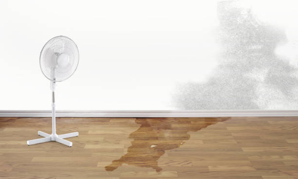 Best 24/7 water damage repair  in Chisholm, MN
