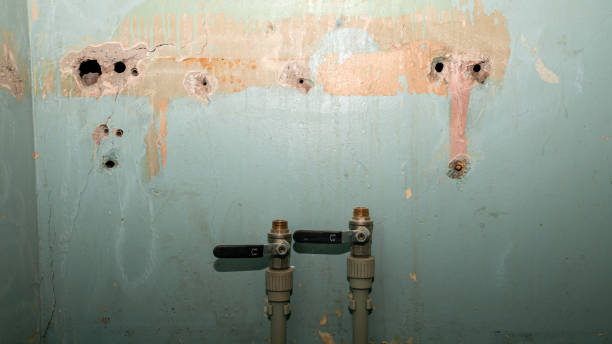 Best Water damage restoration insurance claims  in Chisholm, MN