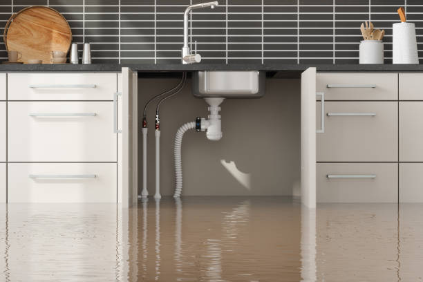 Best Water damage restoration near me  in Chisholm, MN