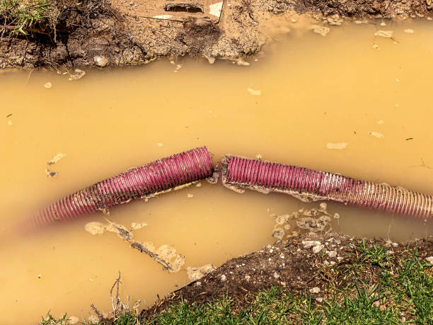 Best Sewage cleanup and water damage restoration  in Chisholm, MN