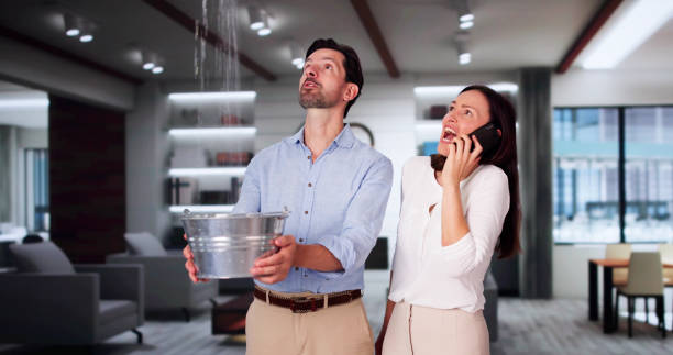 Best Basement water damage restoration  in Chisholm, MN